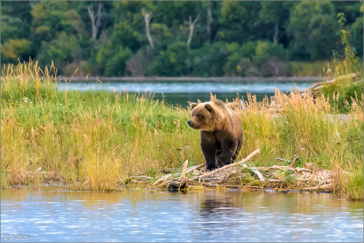 Alaska_2018-2788.jpg