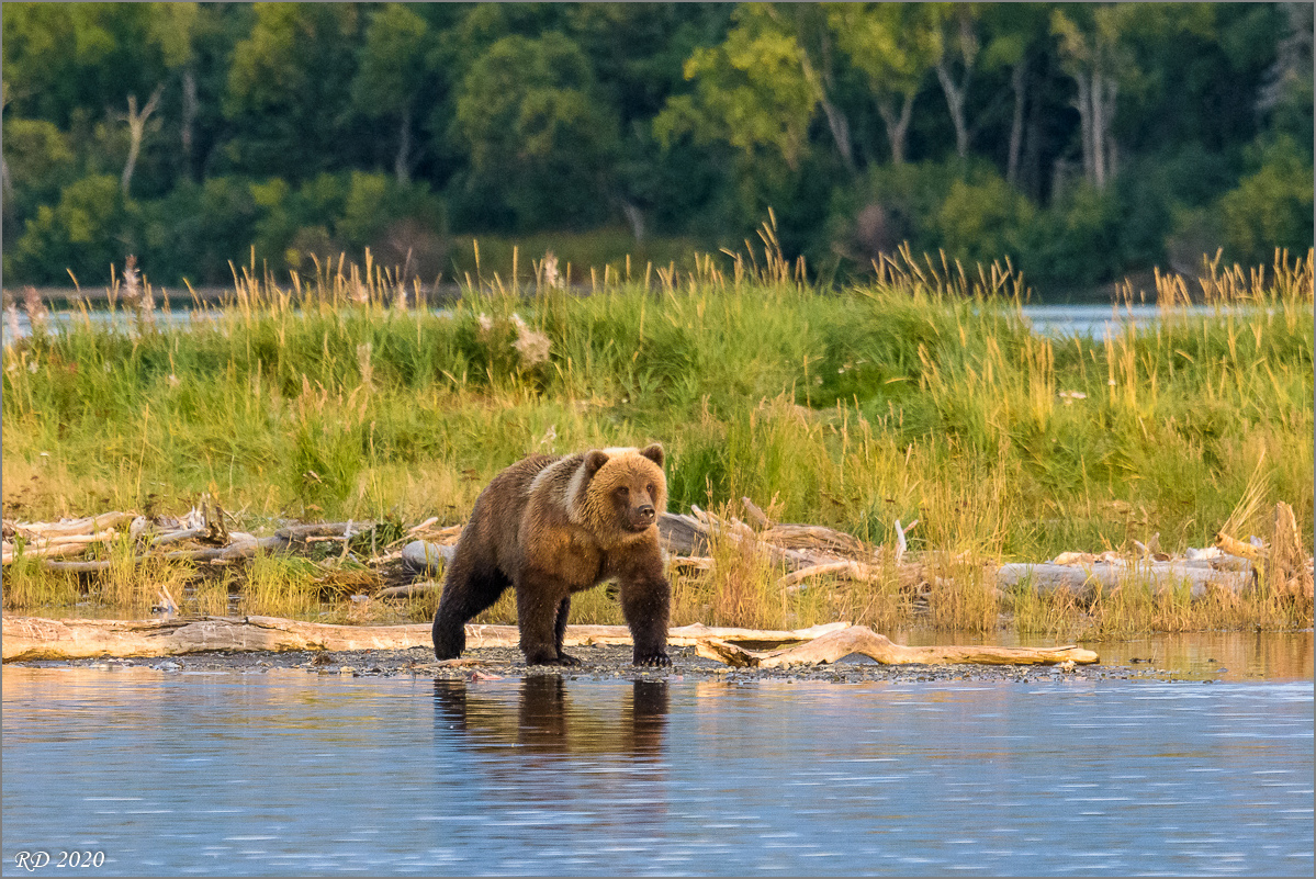 Alaska_2018-2809.jpg