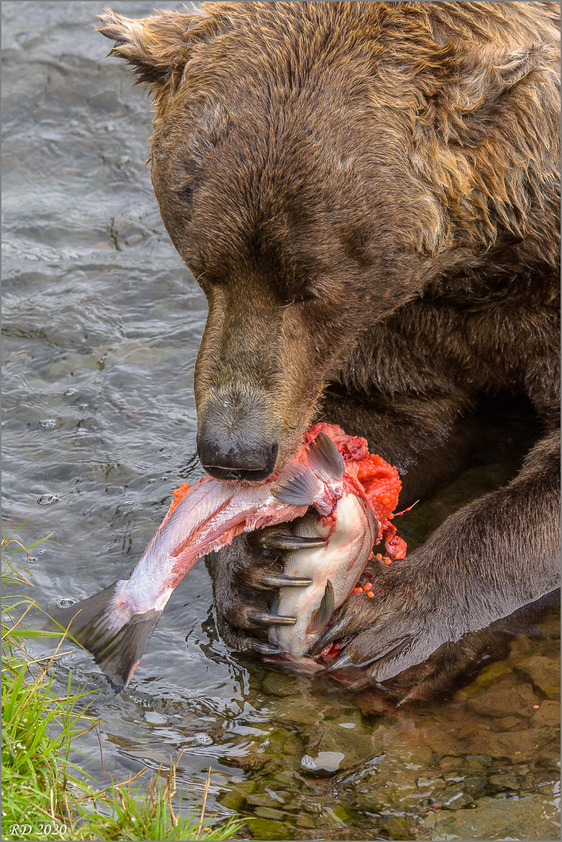 Alaska_2018-2840.jpg