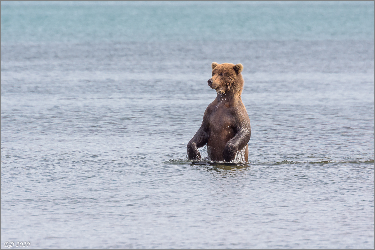 Alaska_2018-2900.jpg