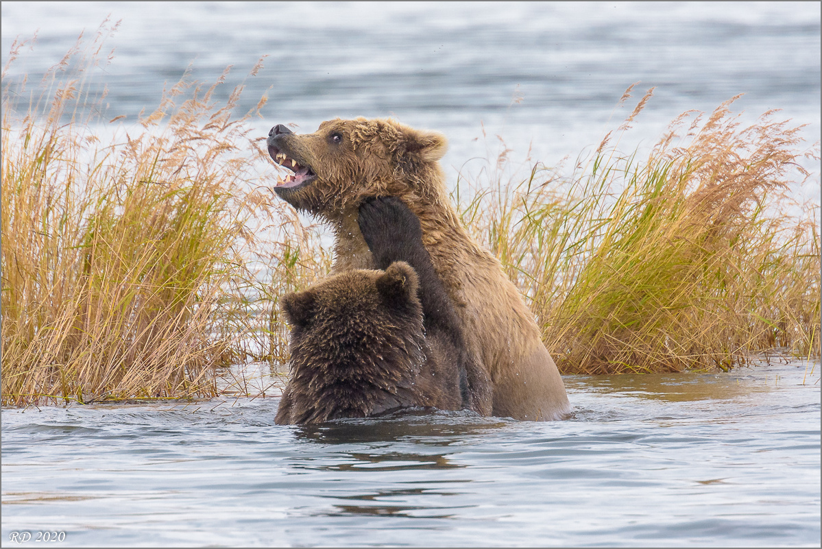 Alaska_2018-2947.jpg