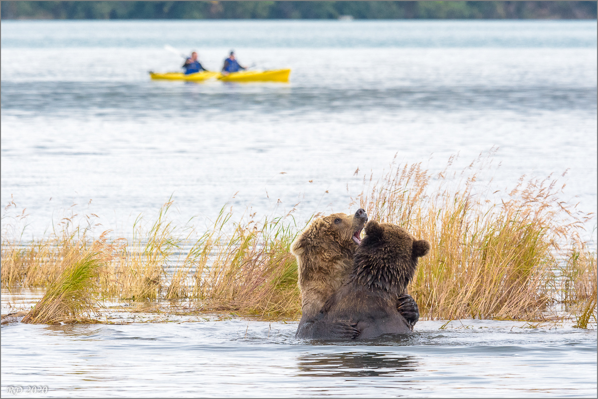 Alaska_2018-2956.jpg