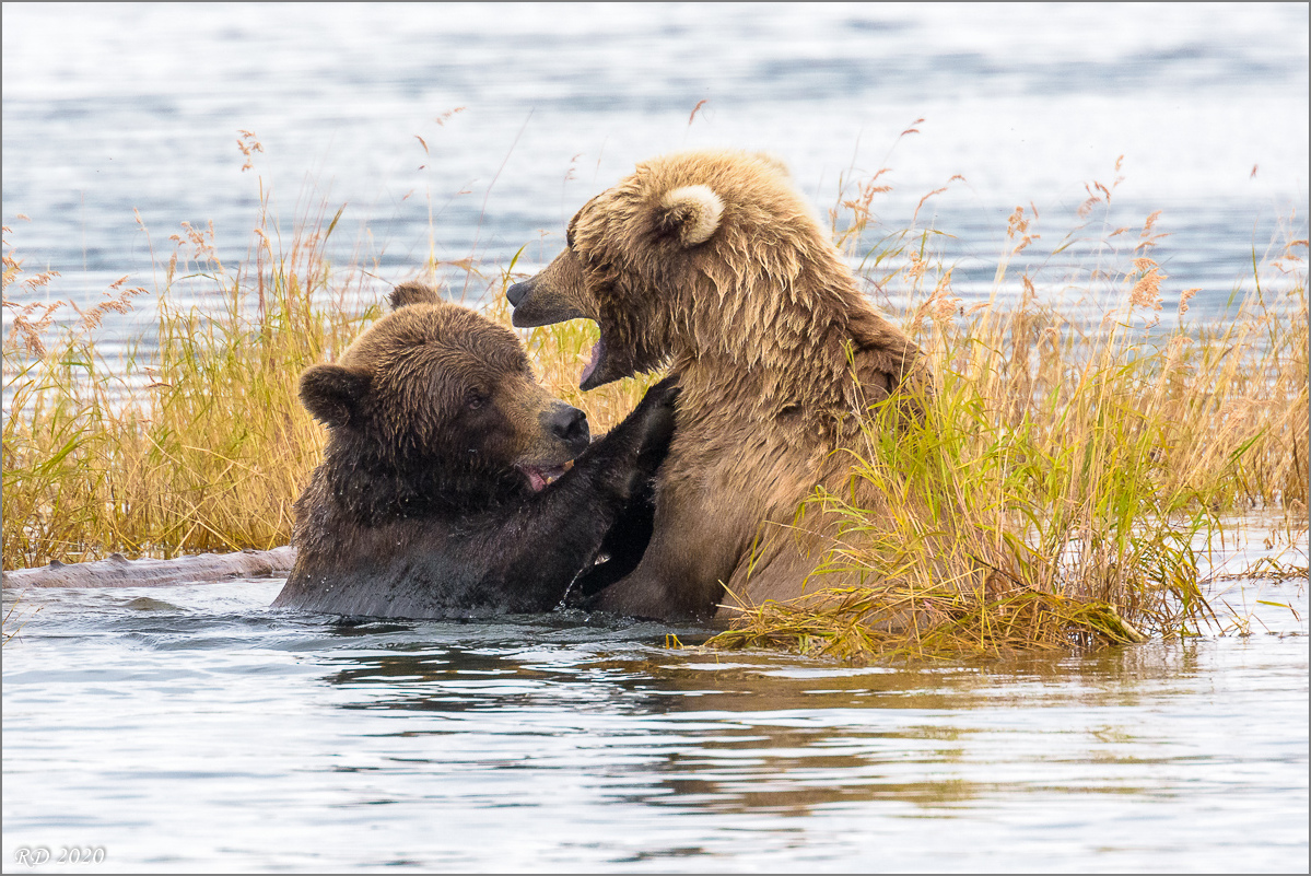 Alaska_2018-2961.jpg