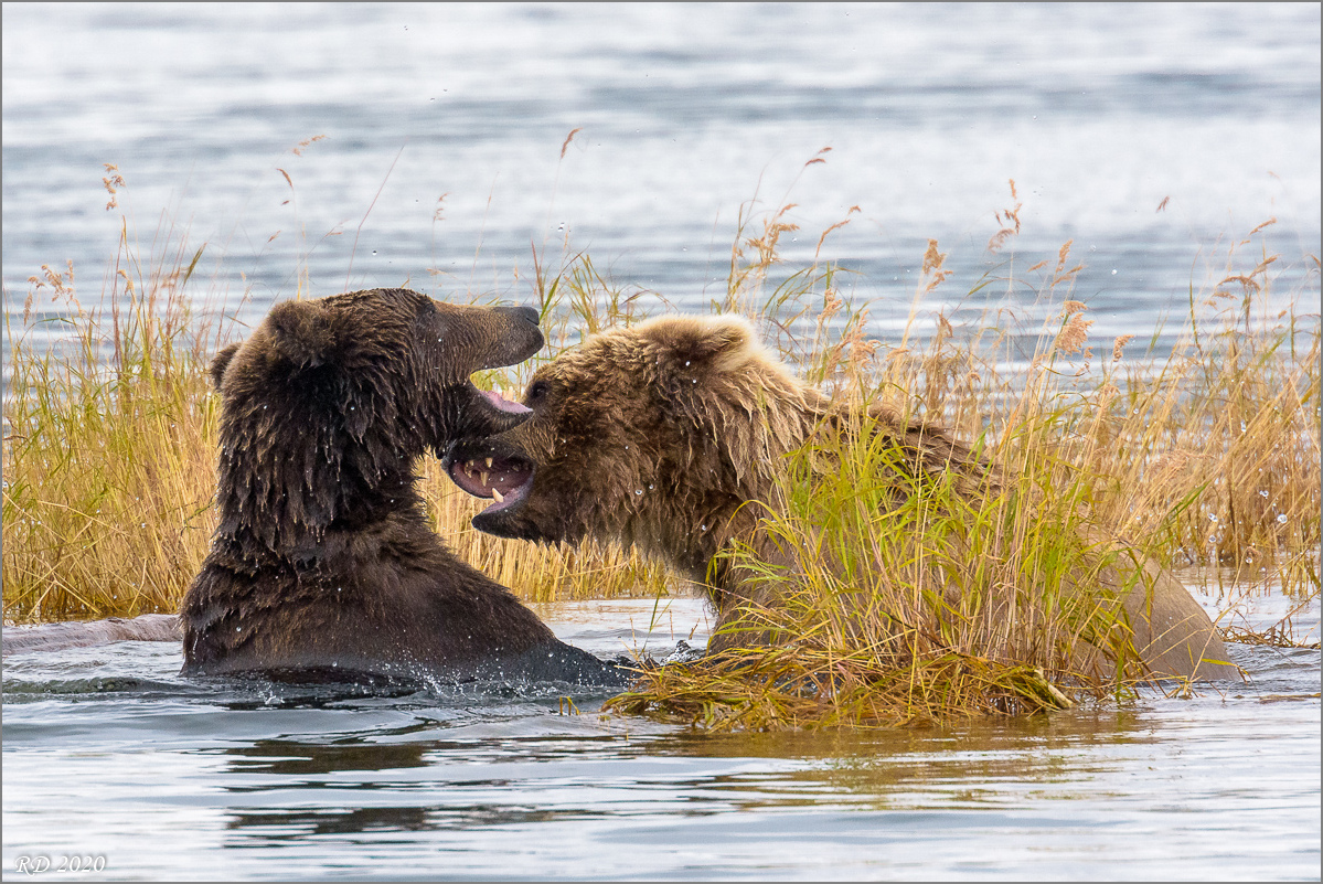 Alaska_2018-2964.jpg