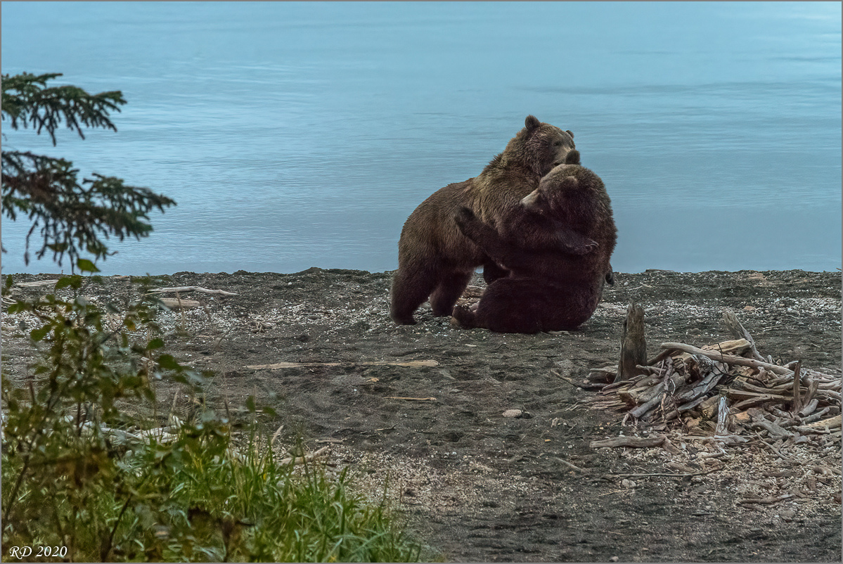 Alaska_2018-2971-Bearbeitet.jpg