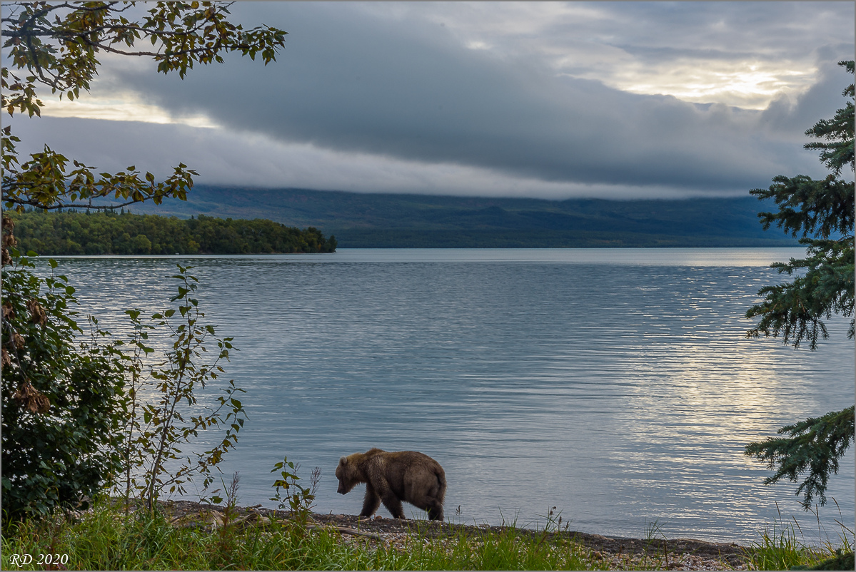 Alaska_2018-2999.jpg