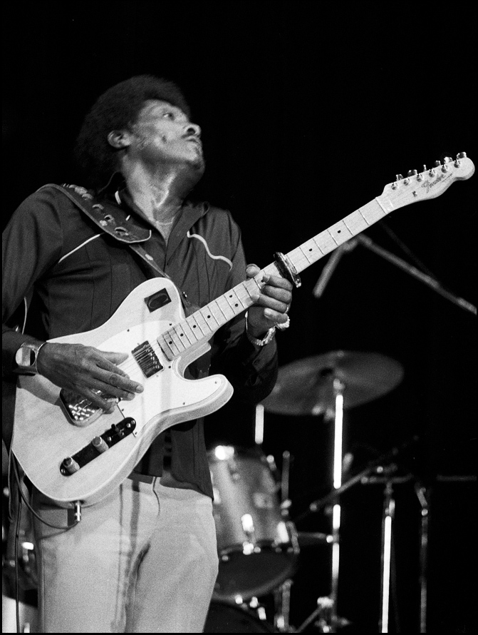 Albert Collins 1981 4