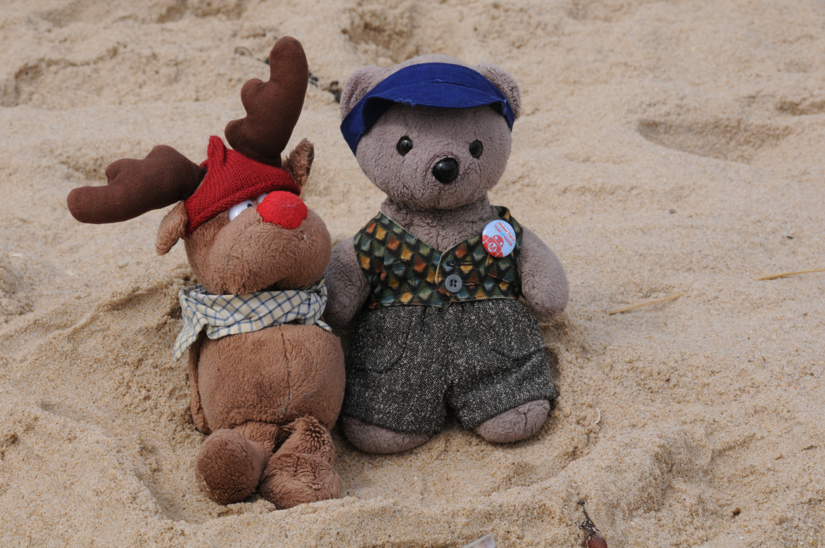 Albert und Daniel am Strand