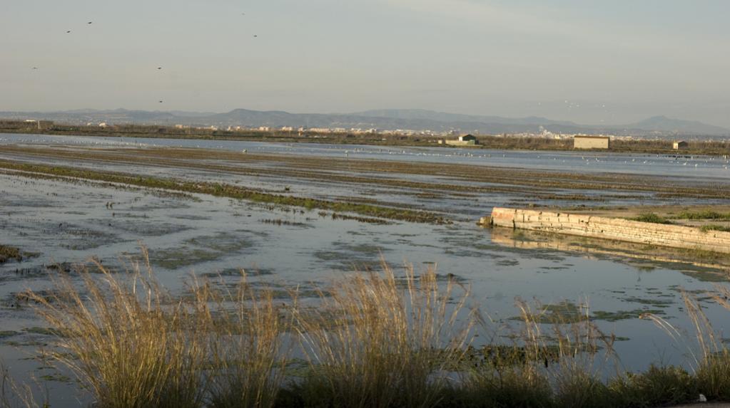 Albufera
