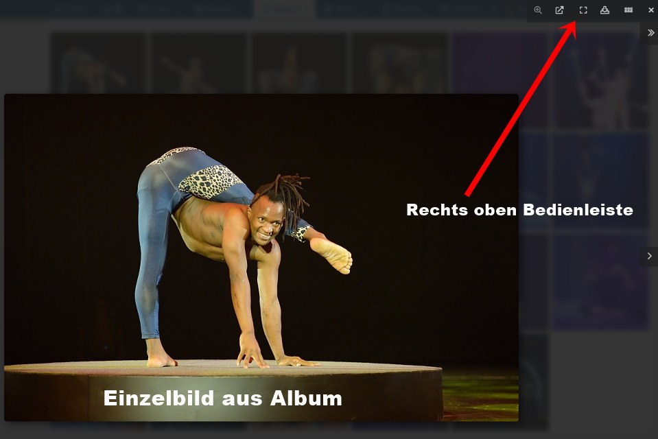 album2.jpg