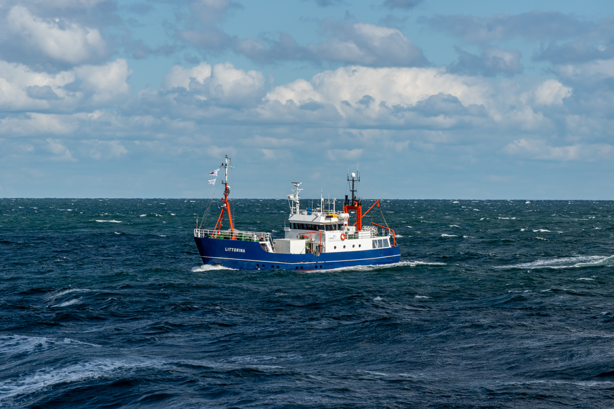 ALKOR AL 536-173.jpg