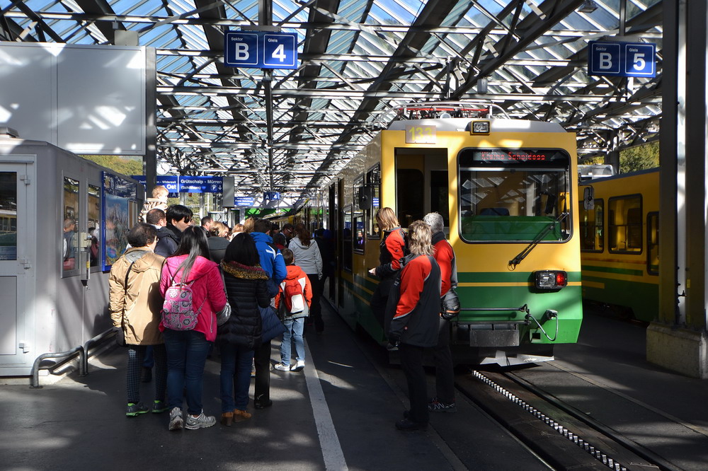 Alle wollen mit