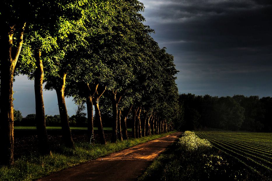 Allee bei Sinninger Mühler