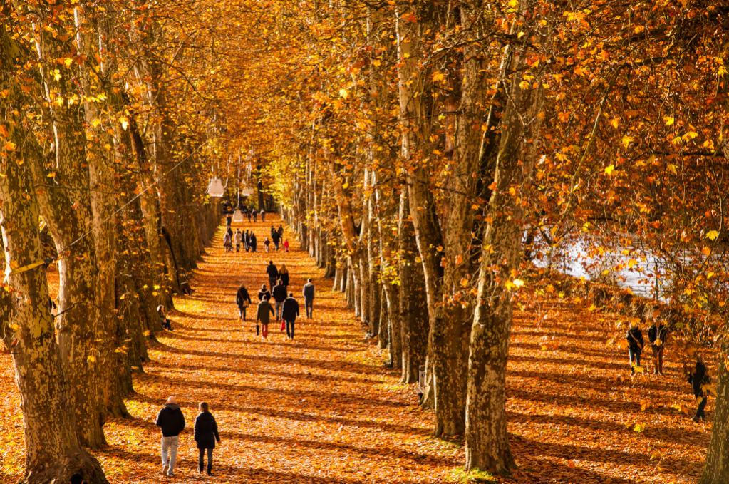 Allee Tübingen 01