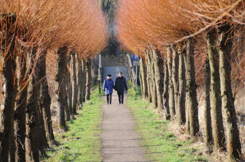 allee