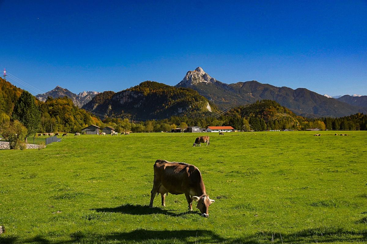 Allgäu