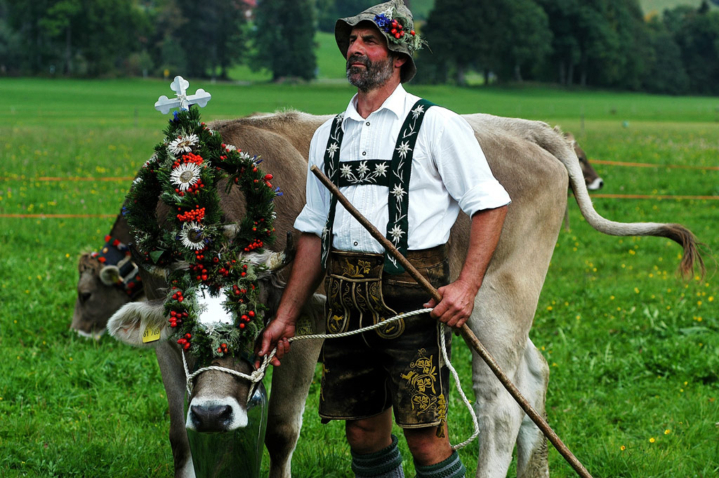 Almabtrieb