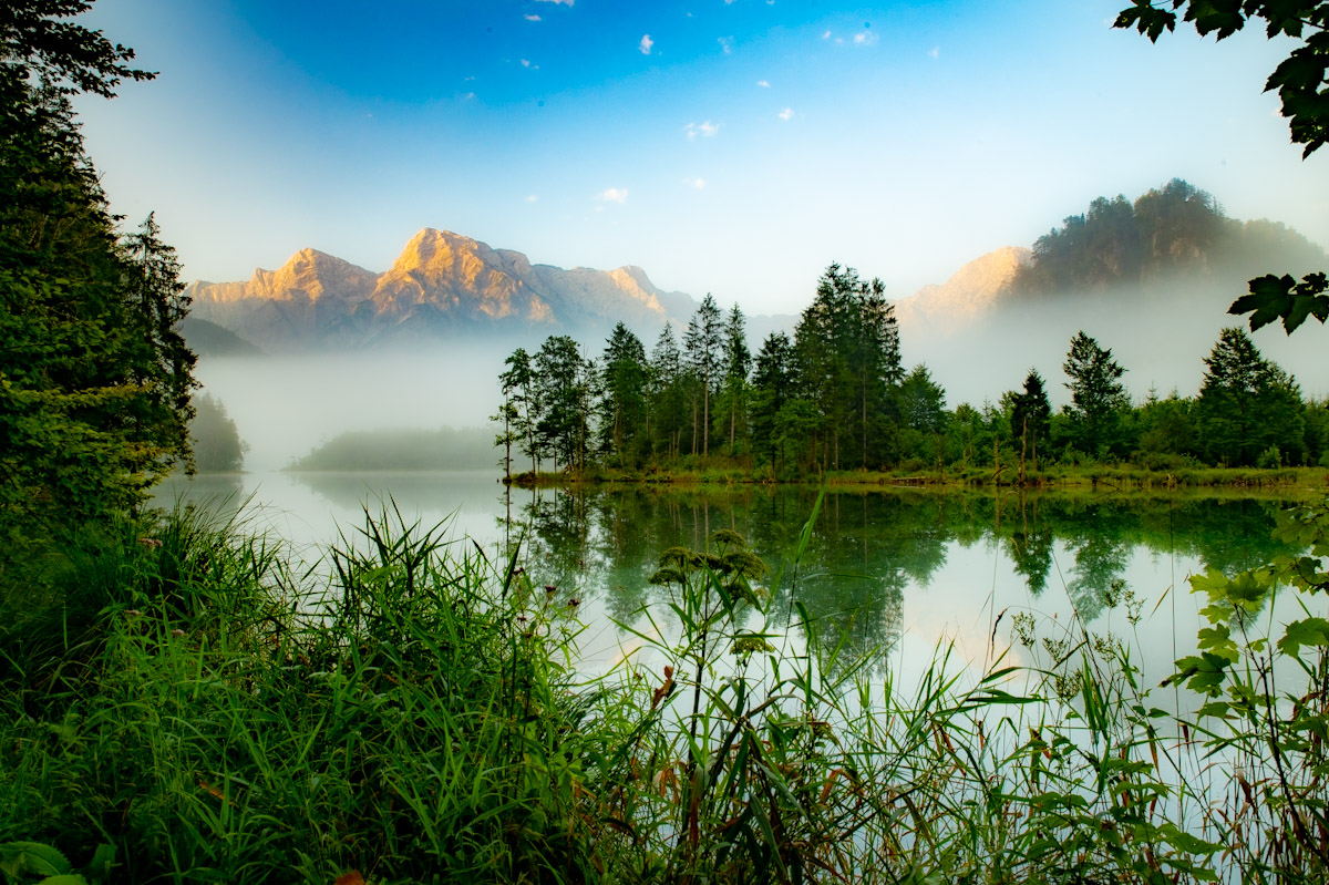 Almsee