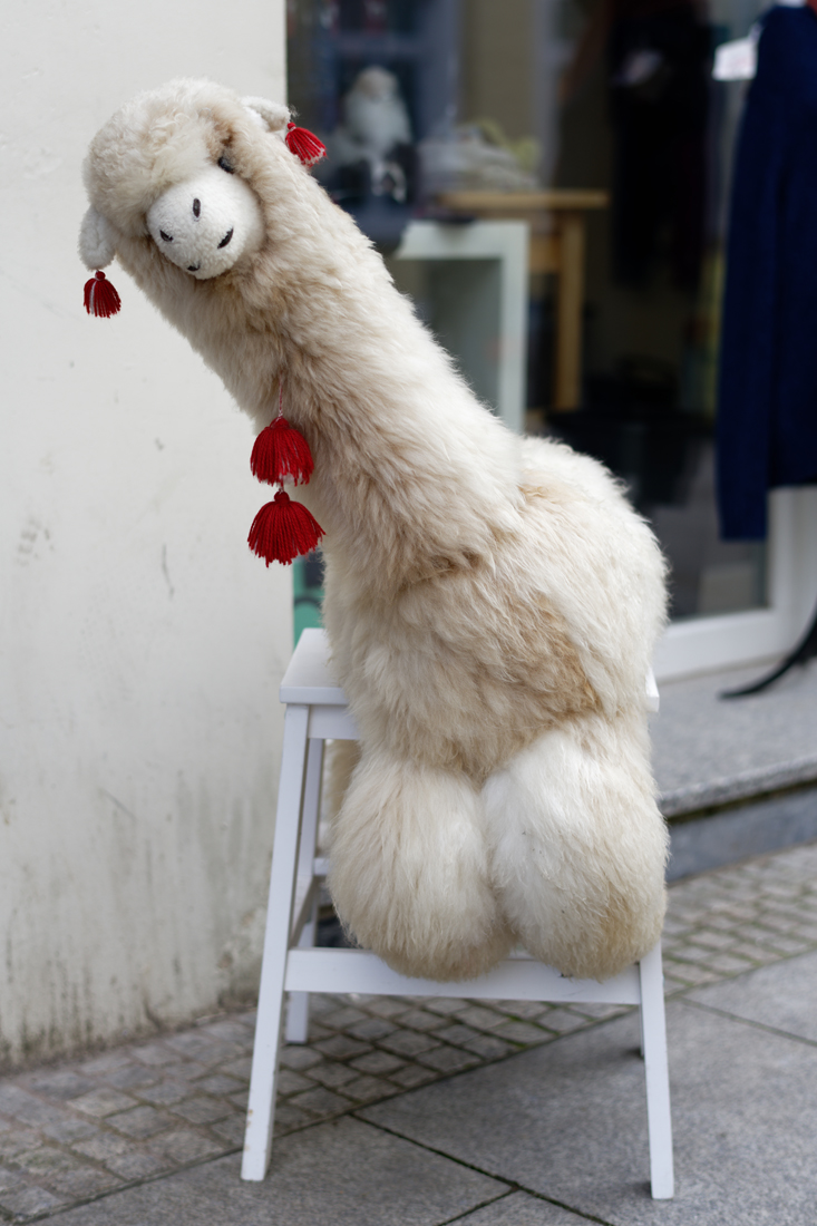 Alpaca.jpg