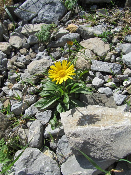 Alpstein 2011 09 22 (105)