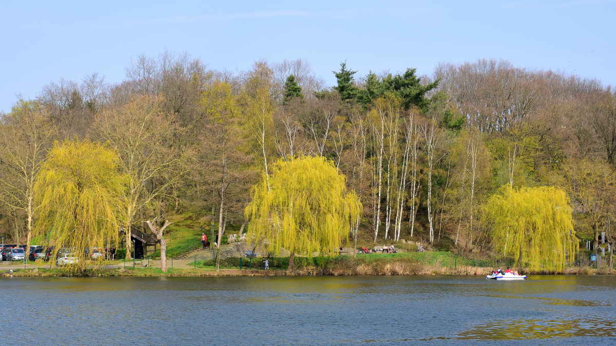 Alsdorfer Weiher 1
