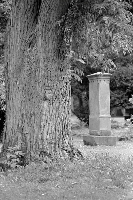 Alter Friedhof 31