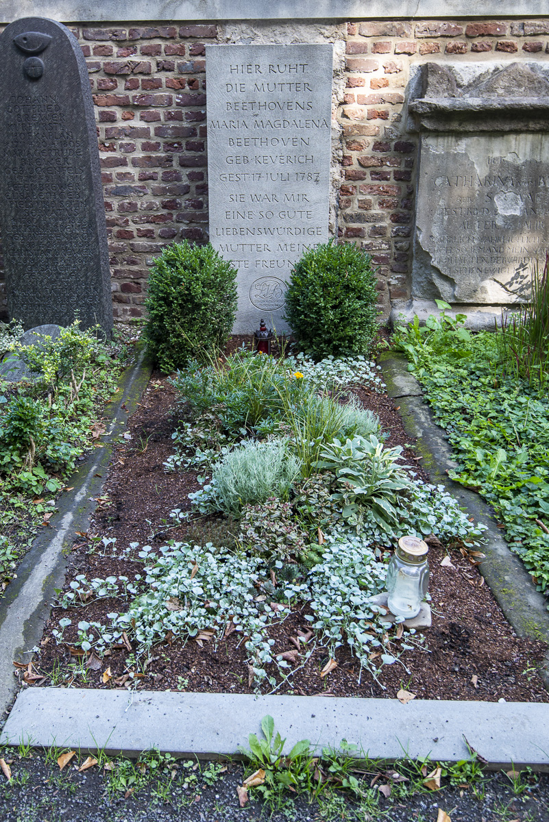 Alter Friedhof Bonn Beethoven.jpg