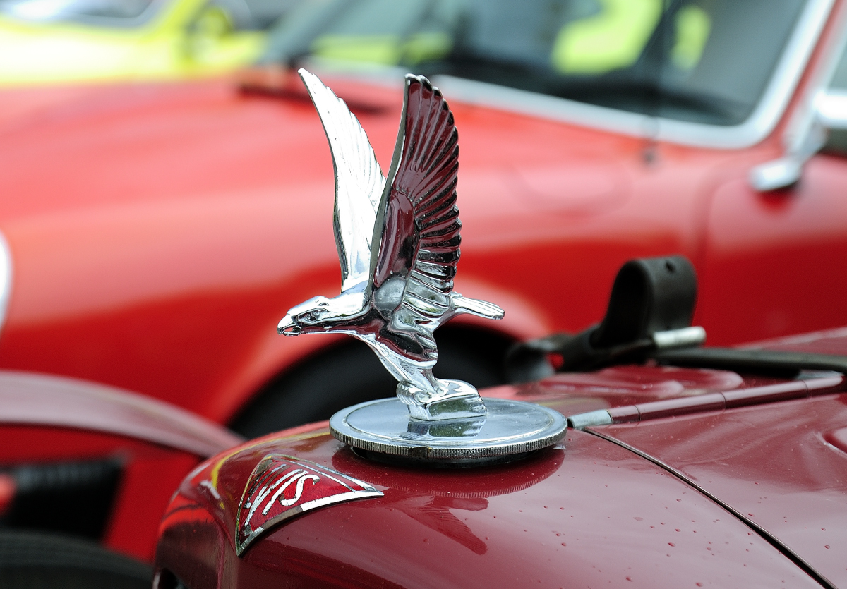 Alvis TA 14 Sportspezial 3