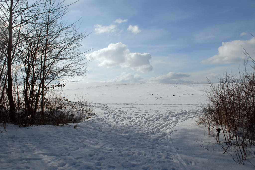 AlzeyII31.01.10
