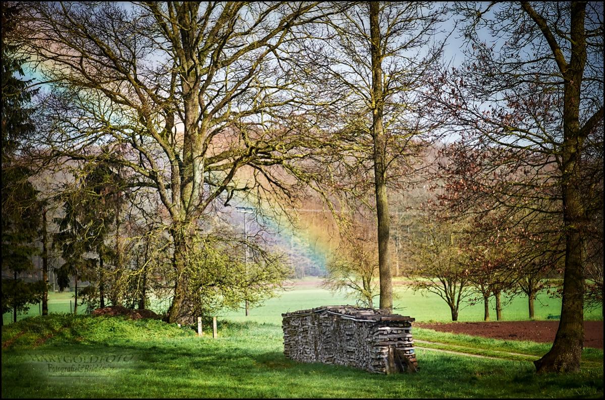 Am Anfang des Regenbogens