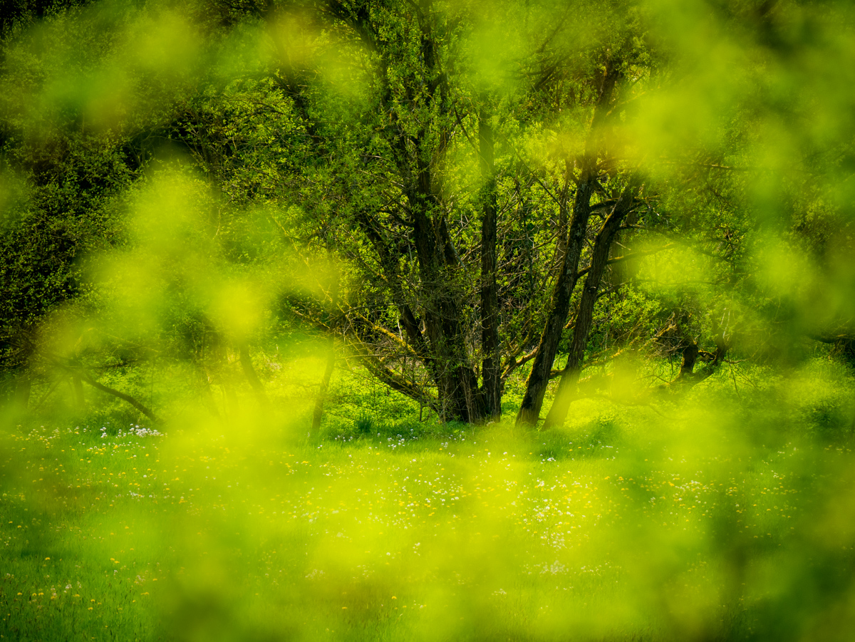 Am Bachlauf