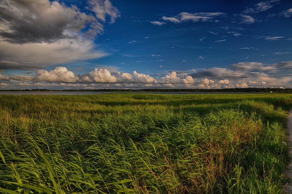 Am Bodden