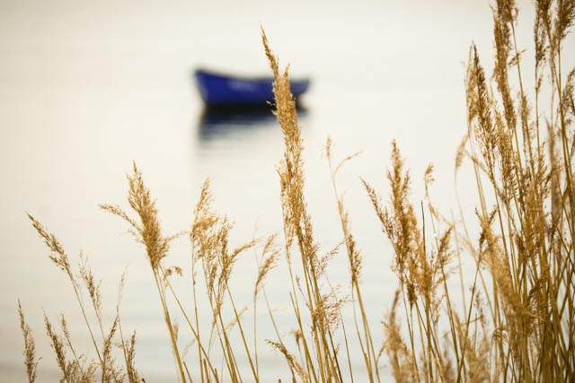 Am der See