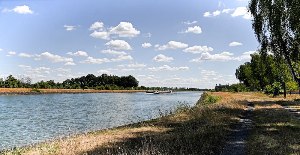 Am Elbe-Seiten-Kanal.jpg