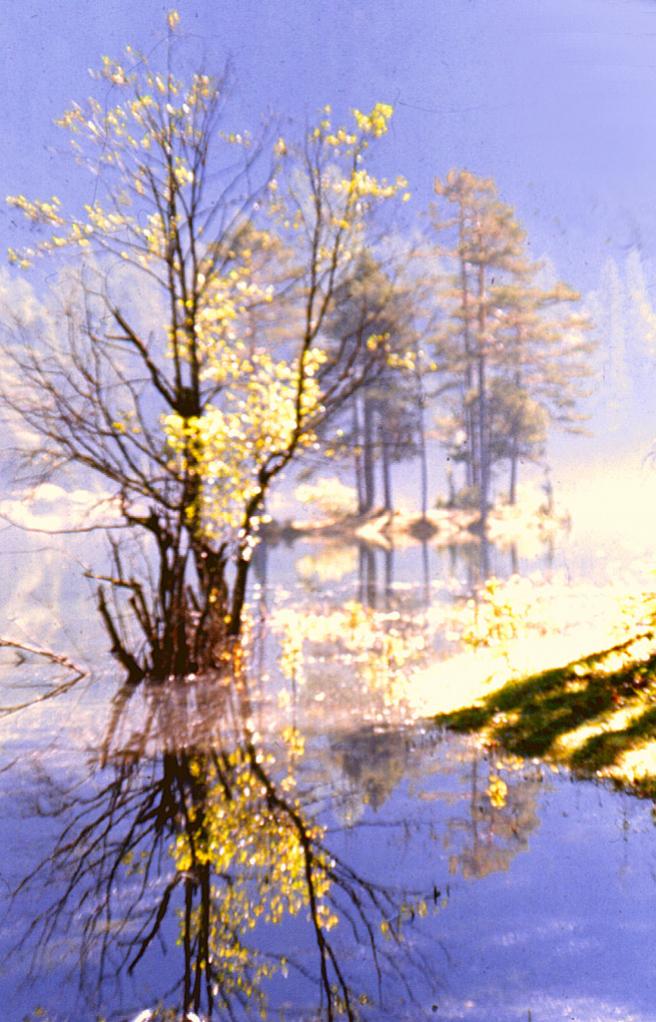 am Fernsteinsee DV Herbst 13 L
Morgens im Winter - grafisch bearbeitet