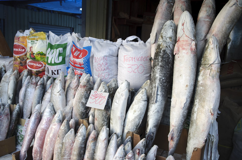 Am Fischmarkt von Jaktusk