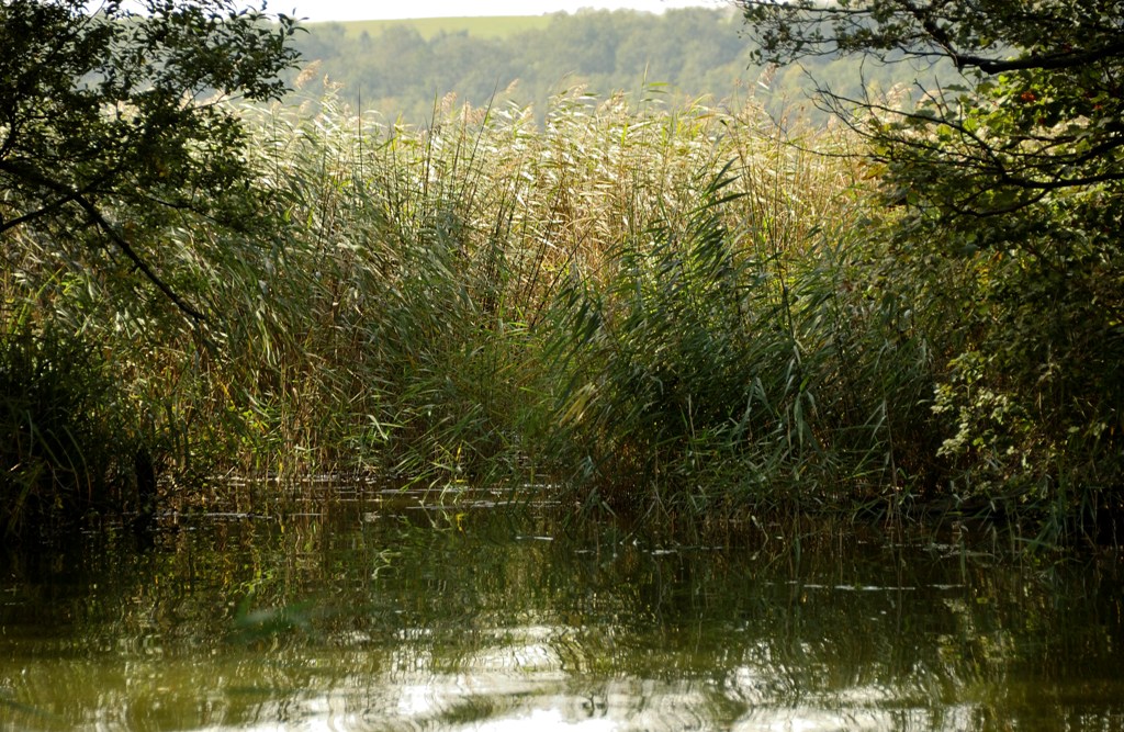 Am Gothensee DSC 0850x
