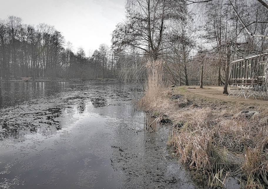 Am Isenhagener See.jpg