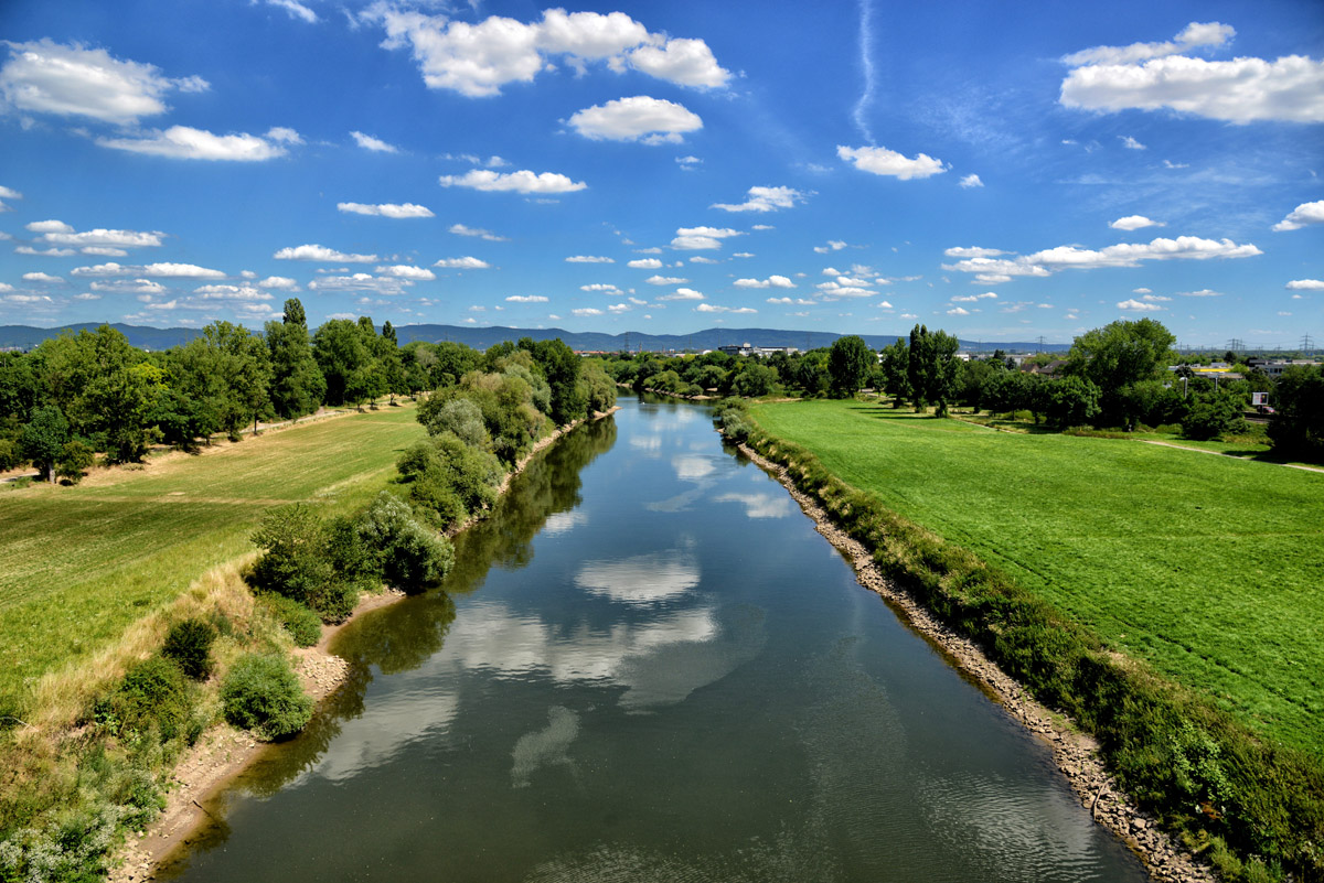 am Neckar 2017