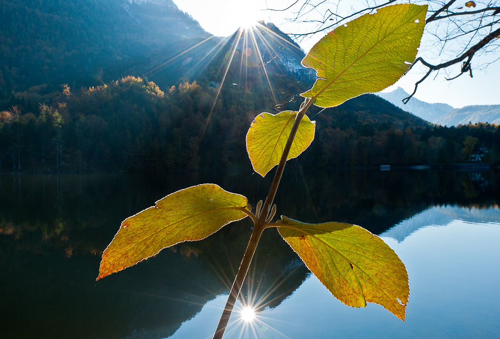 Am Nussensee
