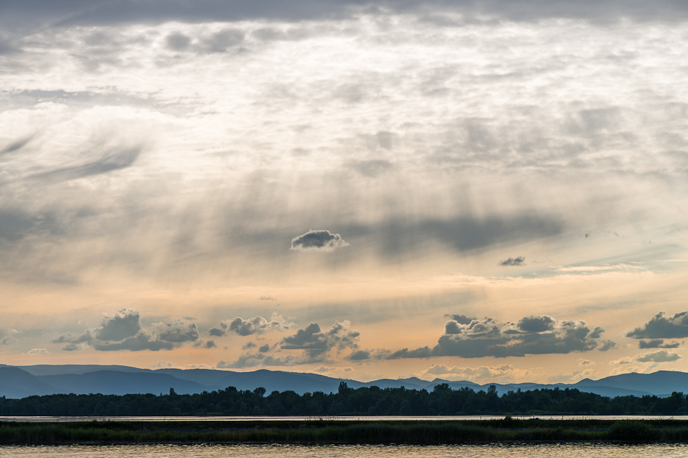 Am Rhein