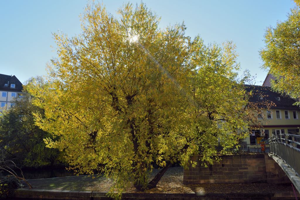 Am Schleifersteg