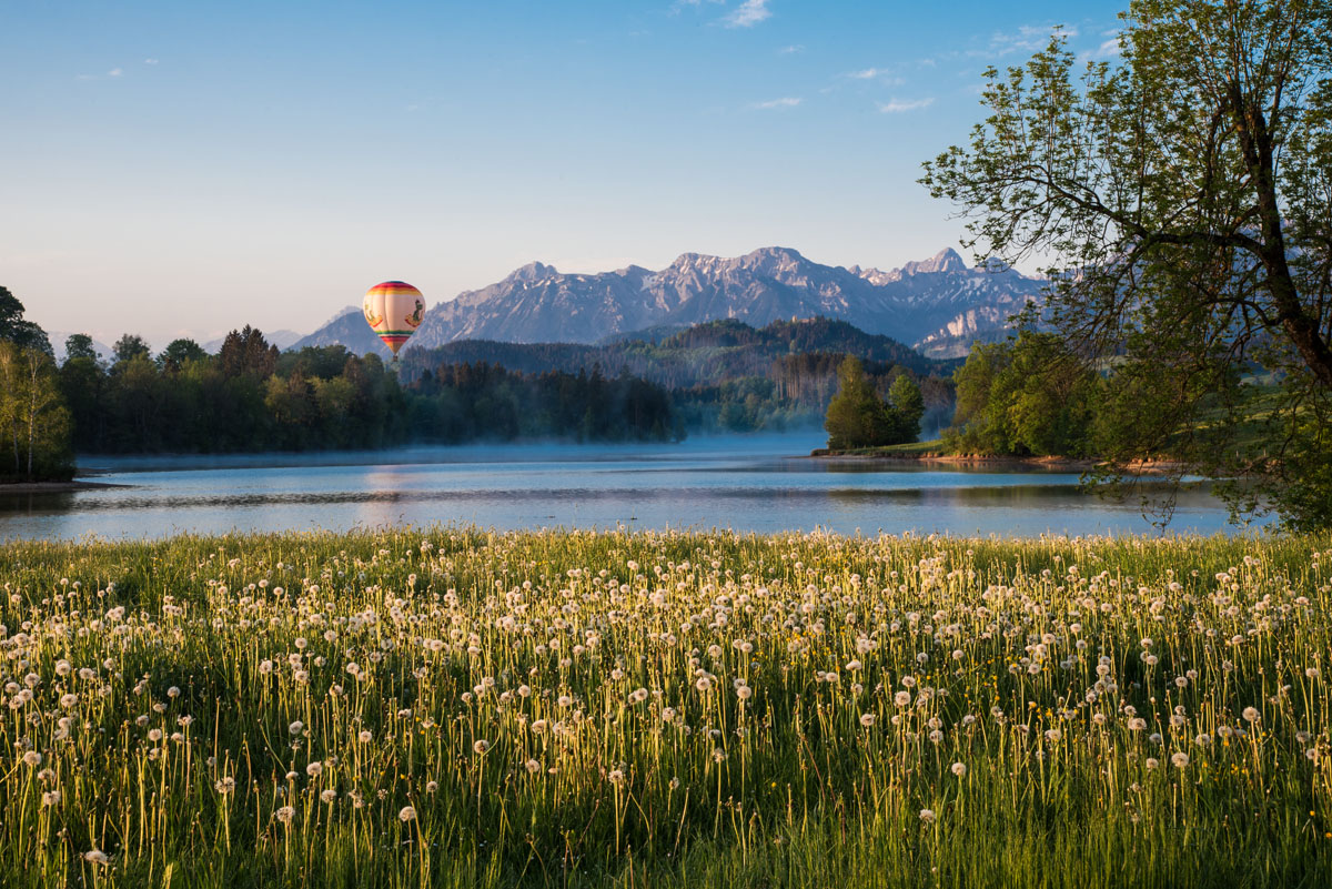 Am Schwaltenweiher