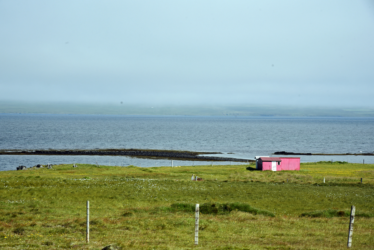Am Skagafjörður, Island --- DSC_8394FK Kopie.jpg