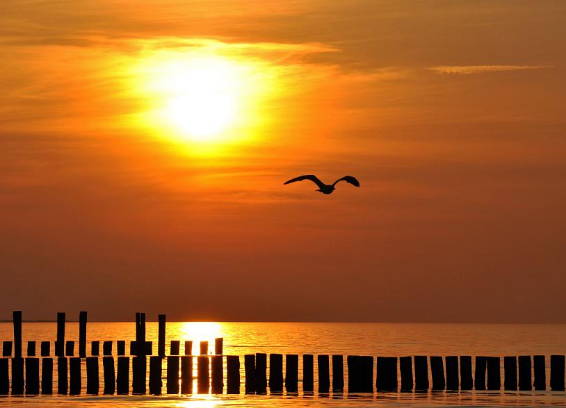 am Strand von Zingst - -Sonnenuntergang Mai 2011