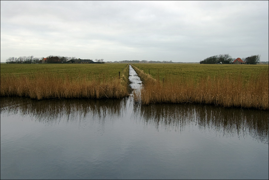 Ameland