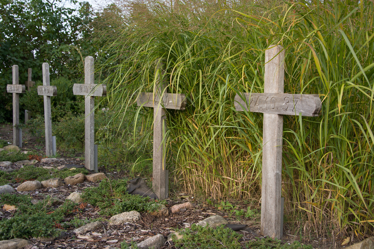 Amrum-2020-108.jpg