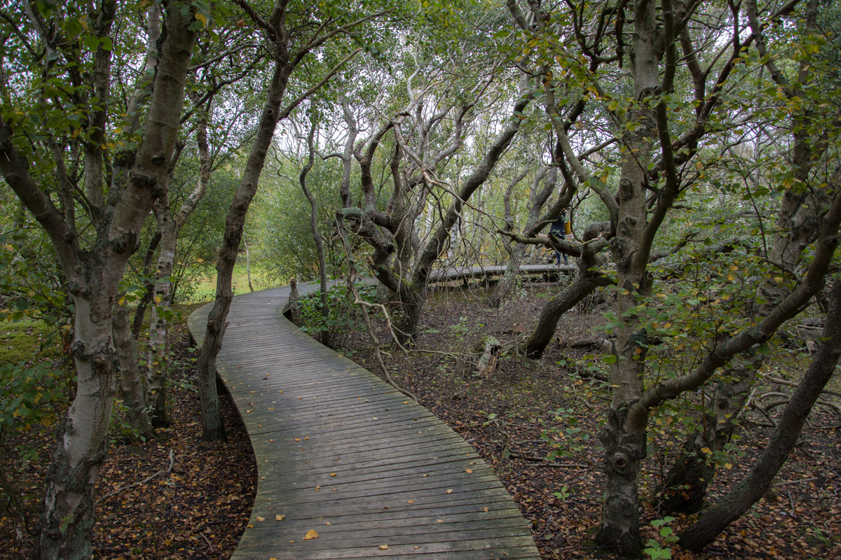 Amrum-2020-61.jpg
