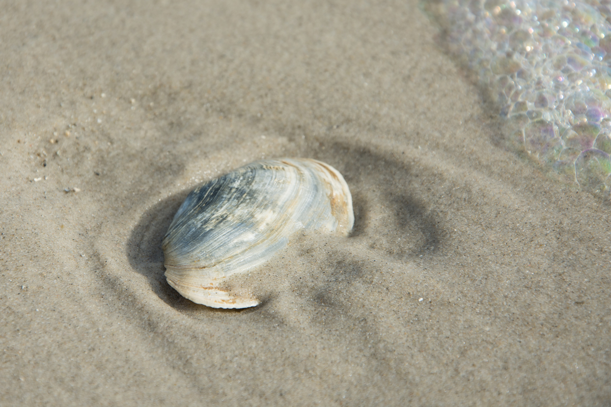 Amrum-2020-78.jpg