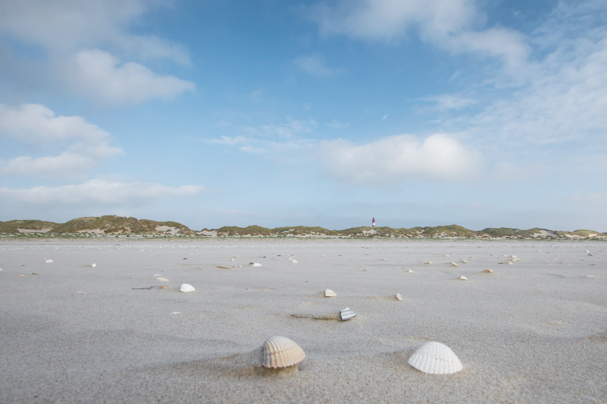 Amrum-2020-83-1.jpg
